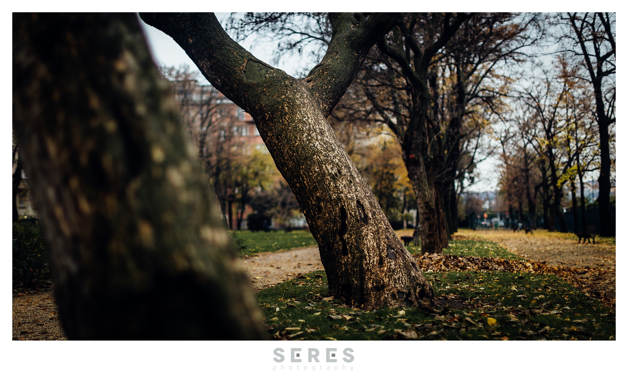 © SERES photography | Seres Zsolt fotós 