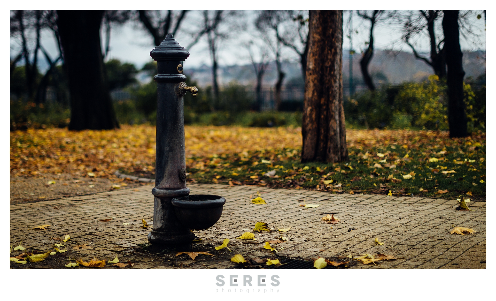 © SERES photography | Seres Zsolt fotós 