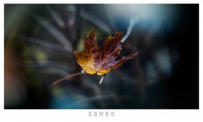 © SERES photography | Seres Zsolt fotós